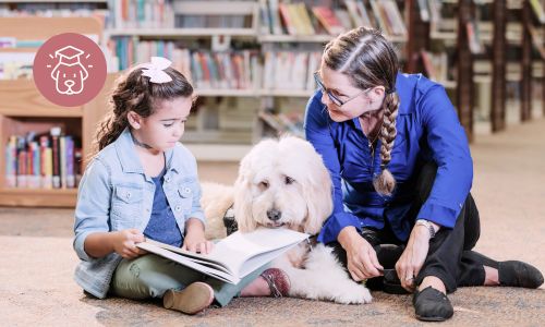 Ein Schulhund im Einsatz als Lesehund