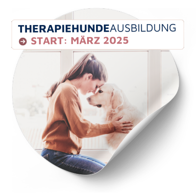 Therapiehund in Hamburg, Lübeck, Mölln, Trittau