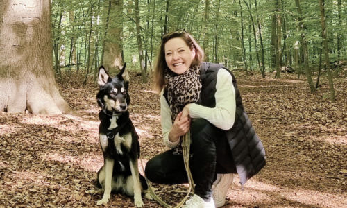 Therapiehundeausbildung in Hamburg, Mölln, Trittau, Lübeck und Umgebung