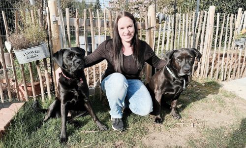 Therapiehundeausbildung in Hamburg, Mölln, Trittau, Lübeck und Umgebung