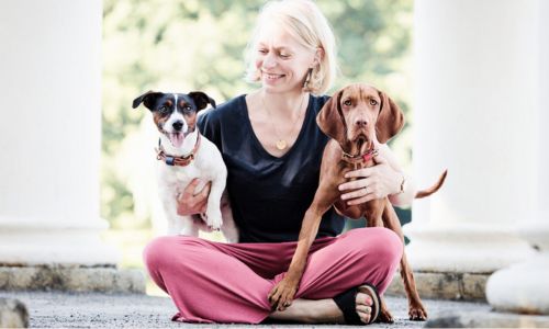 Therapiehundeausbildung in Hamburg, Mölln, Trittau, Lübeck und Umgebung