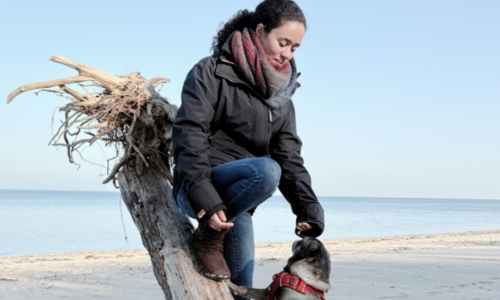 Therapiehundeausbildung in Hamburg, Mölln, Trittau, Lübeck und Umgebung